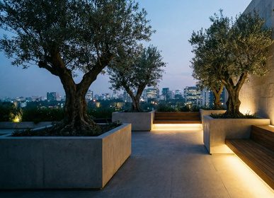 diseño sin título (7)