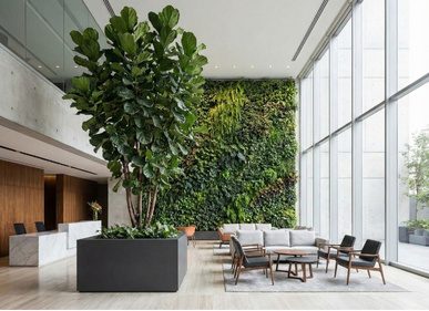 diseño sin título (8)