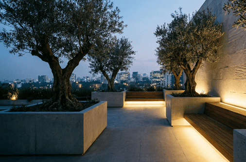 diseño sin título (87)