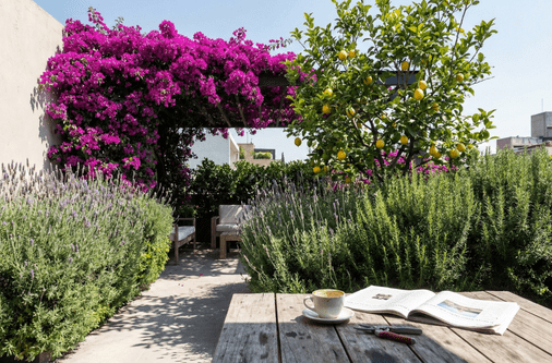 diseño sin título (90)