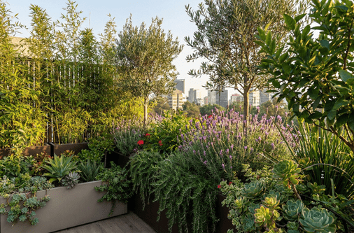 diseño sin título (91)